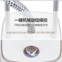 荣事达(Royalstar)RS-GT69大蒸汽双杆挂烫机家用高温杀菌挂烫机家用蒸汽电熨斗小型熨烫机衣服挂式熨斗