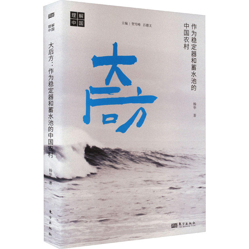 [正版]大后方:作为稳定器和蓄水池的中国农村 县乡中国作者杨华又一力作 三农问题 乡村振兴 如何做好农民的兜底保障 东高清大图