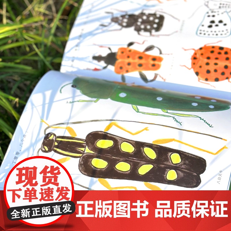 点点虫 麦田精选图画书精装图画故事书阿部弘士作品周保春译本少年儿童出版社低幼亲子睡前绘本昆虫科普正版童书籍高清大图