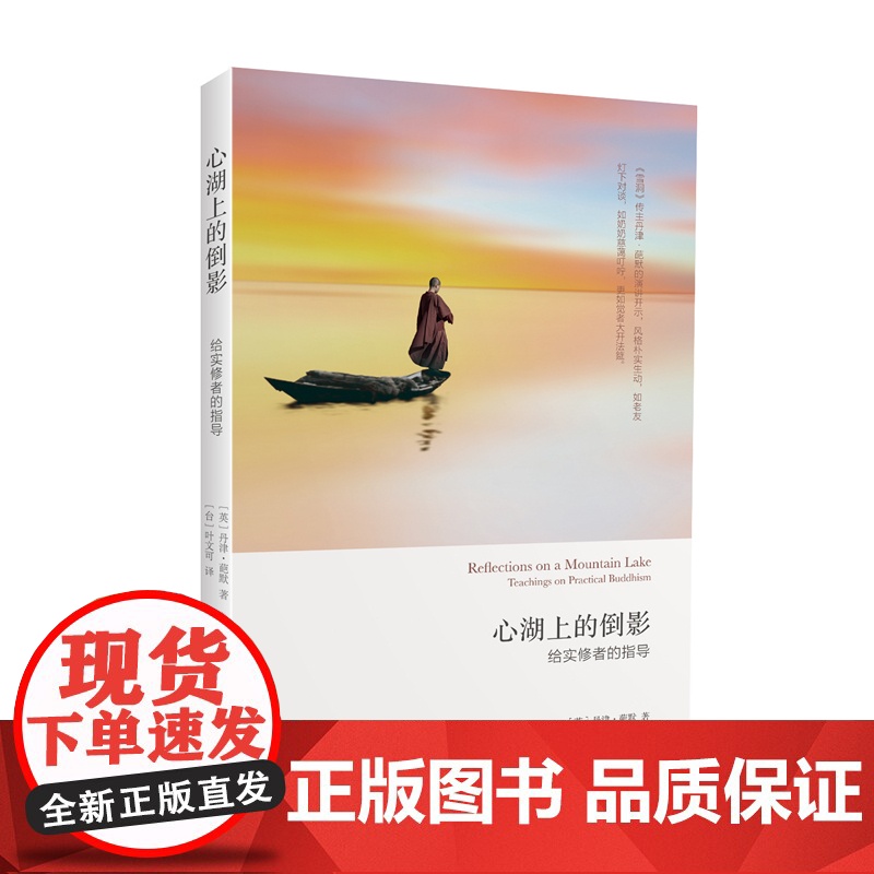 心湖上的倒影 给实修者的指导 厘清生活禅修困惑 分享超越极限的修行体验 外国哲学 丹津葩默著 哲学正版书籍深圳报业集团出高清大图