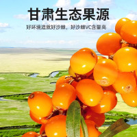 [2箱] 沙棘原浆500ml (10瓶)方盒装新礼盒沙棘原浆汁沙棘果鲜汁独立小瓶官方旗舰店