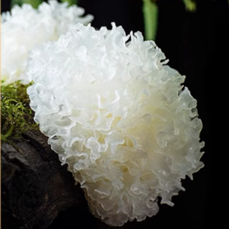 长白山大银耳 特级野生 净重:500g/包