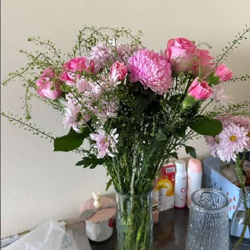 雏菊鲜花高清大图