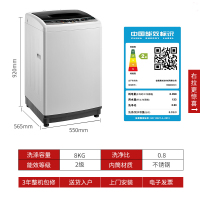 Midea/美的MB80V331 8kg公斤洗衣机家用大容量小型全自动迷你波轮 节能宿舍租房小家优选