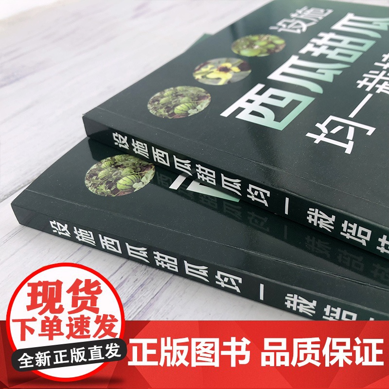 设施西瓜甜瓜均一栽培技术 曾剑波 一本西瓜甜瓜栽培技术的实用手册 西瓜、甜瓜种植者企业合作社以及农业技术人员阅读参考高清大图