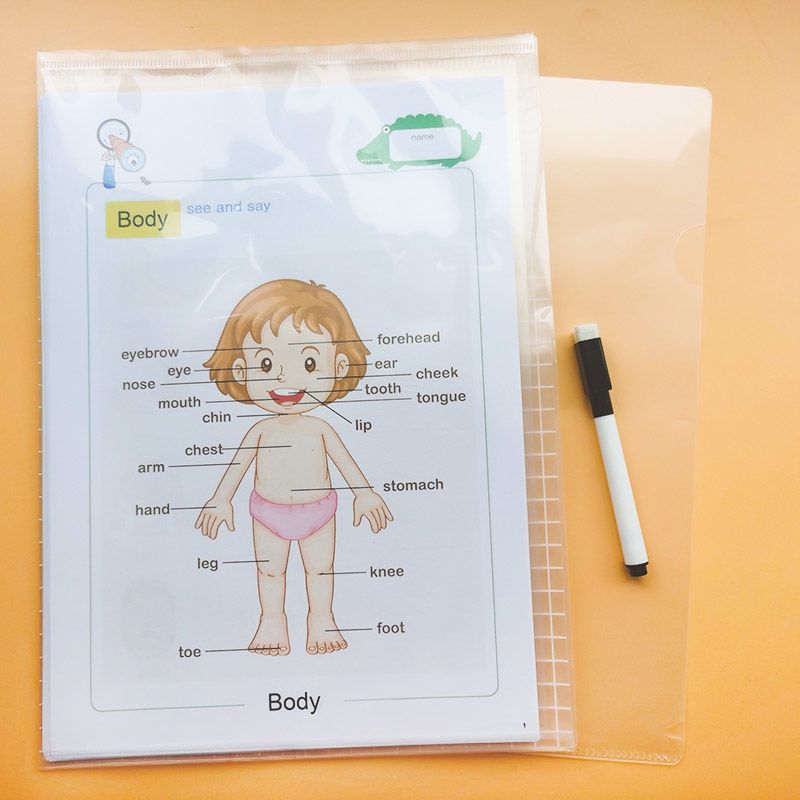 宝宝身体部位分类早教英语单词卡片儿童幼儿小达人点读英文闪卡练习纸31页配擦写套餐报价 参数 图片 视频 怎么样 问答 苏宁易购
