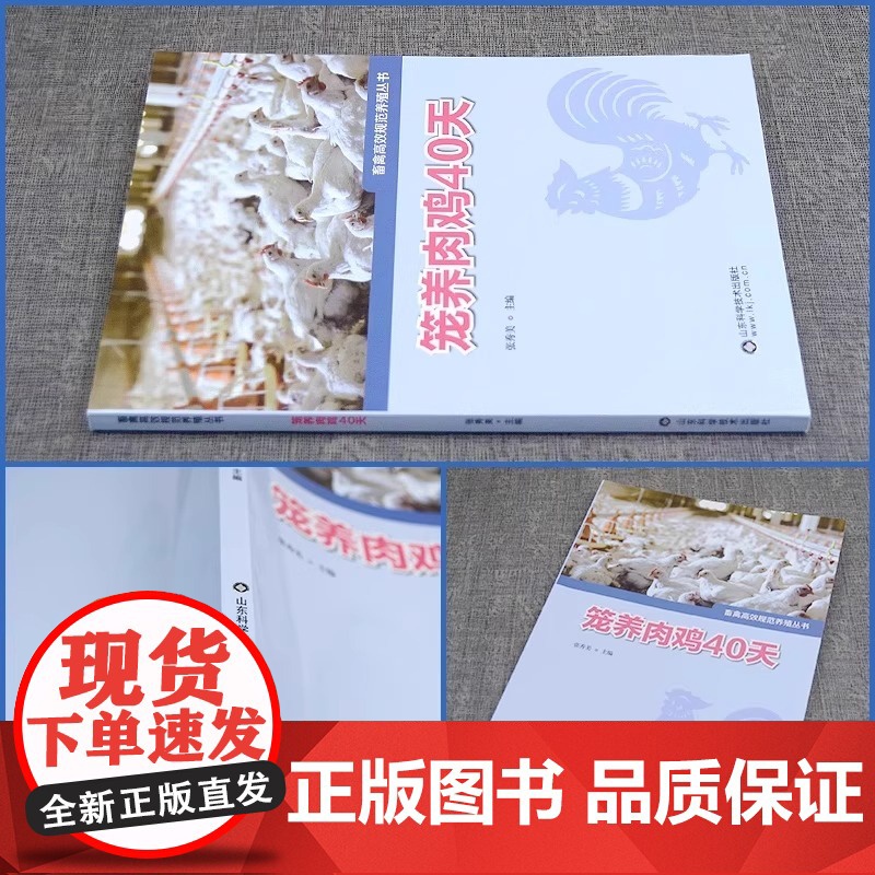 笼养肉鸡40天 畜禽规范养殖丛书养鸡大全鸡病防治及安全用药鸡病快速诊断防治技术鸡养殖书籍鸡养殖教程大全蛋鸡肉鸡高效养殖配高清大图