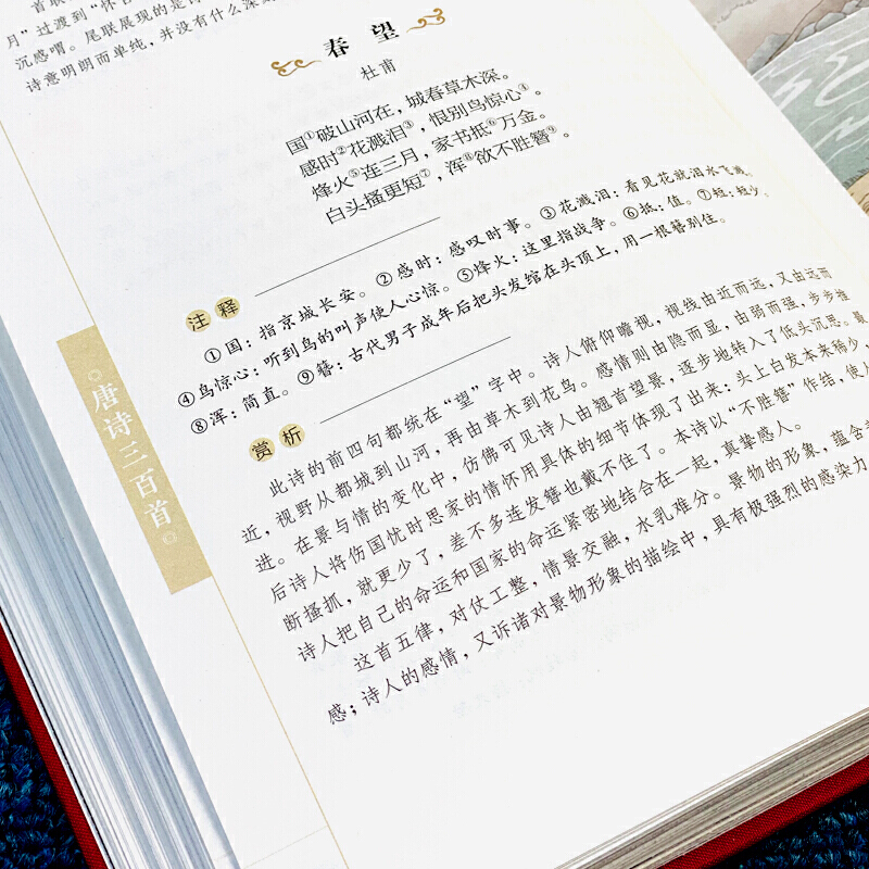 [正版]经典名著美绘国学书系:唐诗三百首+宋词三百首+元曲三百首+论语+儒林外史 图解详析中国古诗词鉴赏无障碍阅读小学