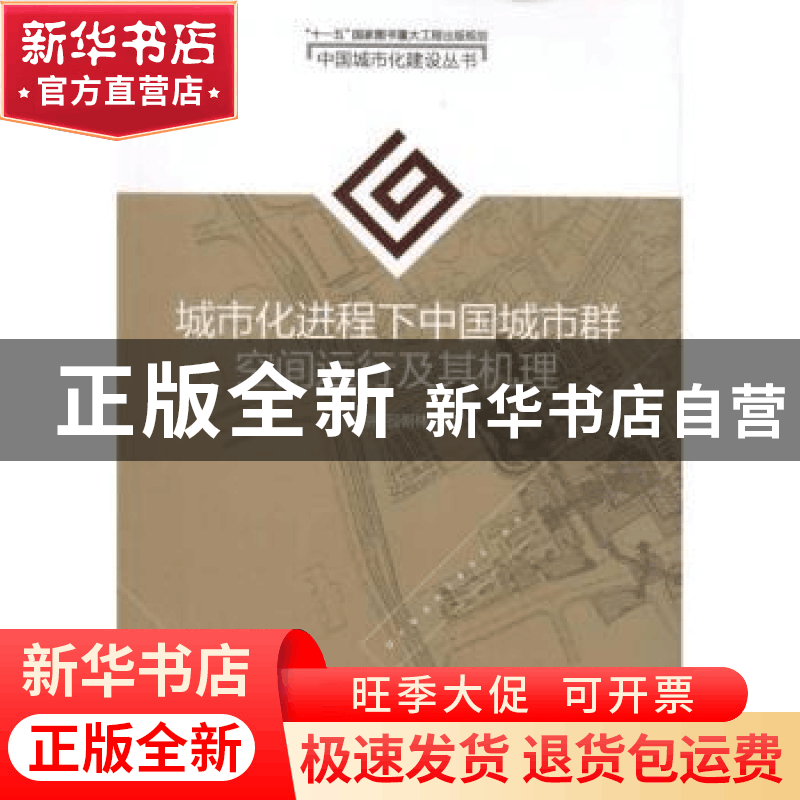 正版 城市化进程下中国城市群空间运行及其机理 彭翀,顾朝林著图片