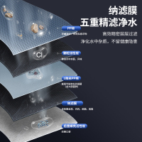 世虹商用净水器NF纳滤过滤净水机公司办公室工厂区立式加热净饮一体机世虹银河 SHNF600G-(SL)