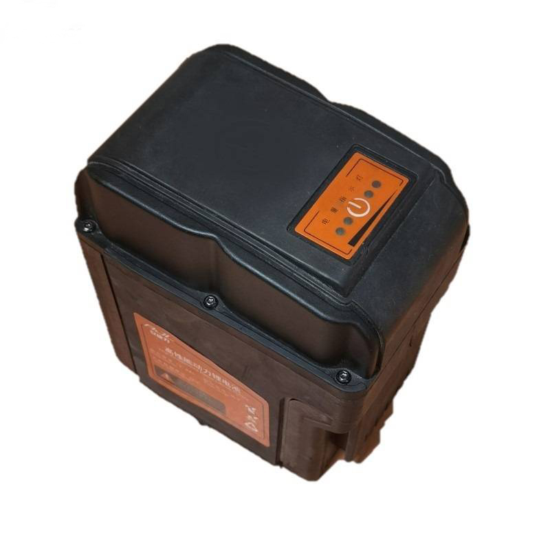 博卡曼锂电池组ZKJ-M36A/块 ZKJ-M36A