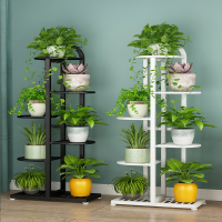 阿斯卡利ascari花架子客厅落地式多层铁艺花架室内绿萝盆阳台花盆植物