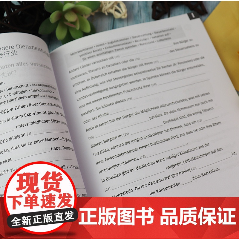 德语词汇语法训练B2安娜丽.比利娜编著 欧标德语B2考试备考 德语语法解析与练习德语欧标考试书籍德语自学入门教材 同济大高清大图