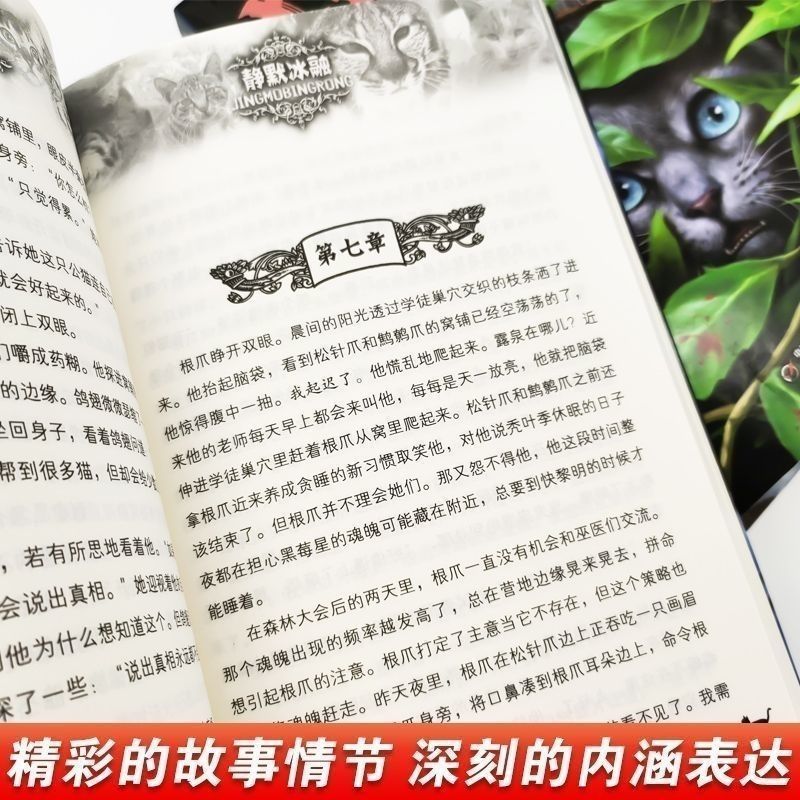[1-7部曲]猫武士全42册 [正版]猫武士全套42册一二三四五六七部曲猫武士外传美绘中小学生青少年儿童经典文学奇幻动物高清大图