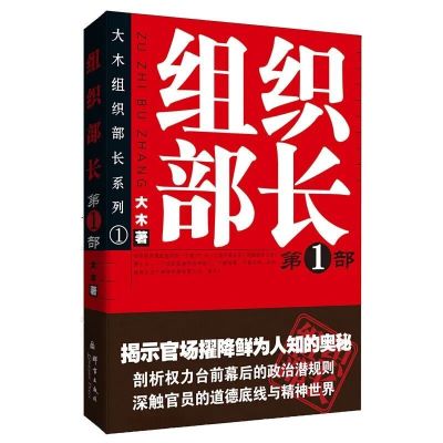 组织部长第一部 正版组织部长全套3本 大木著 组织部长-第1部系列官场小说组织部