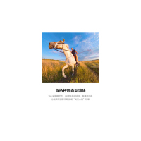 Insta360 ONE R 全景 运动相机摄像机防抖Vlog骑行运动 防抖相机