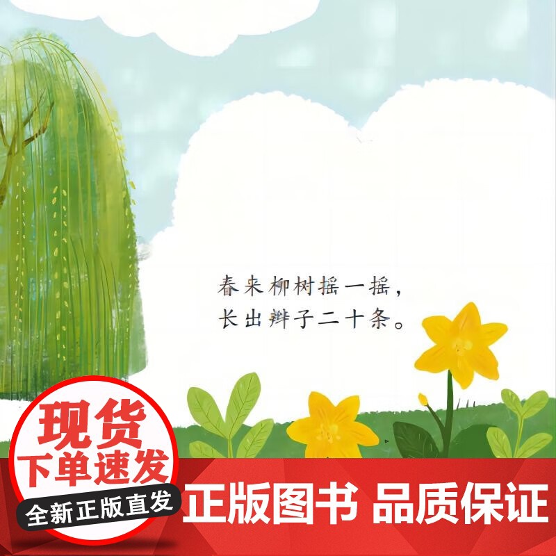 小种子儿童汉语分级阅读 第1级 3-6岁 冯云 著 儿童绘本高清大图