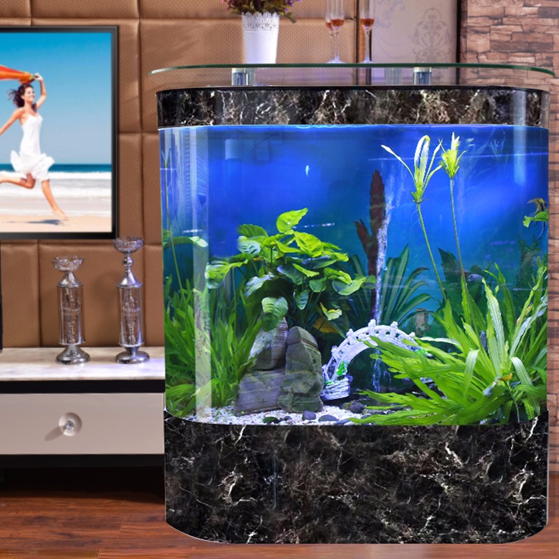 入户双圆形鱼缸玻璃生态水族箱现代家用客厅中大型简约免换水高清大图