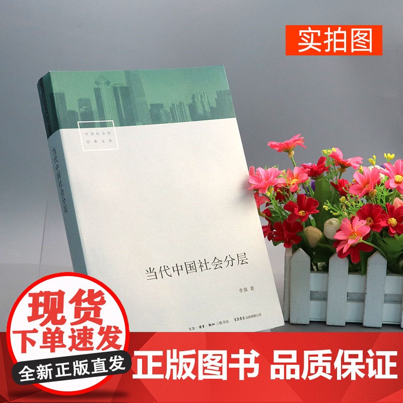 当代中国社会分层 生活书店出版李强教授 中国当代社会学经典中产 中国社会结构的俗易懂书籍中国社会各阶层分析社会各阶级的分高清大图