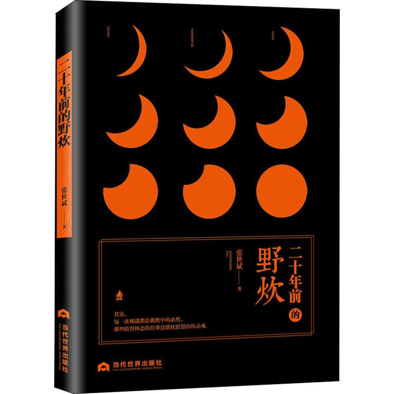 醉染图书二十年前的野炊9787509013373高清大图