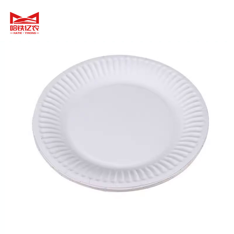 哈铁亿农 一次性餐盘纸浆餐盘可降解 6寸 50个/包高清大图