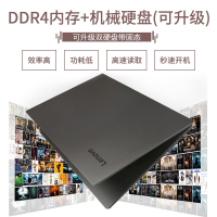 联想（Lenovo）扬天V330 14英寸家用商务办公轻薄本便携笔记本电脑（Intel 赛扬四核N4100 8G 256GB）定制
