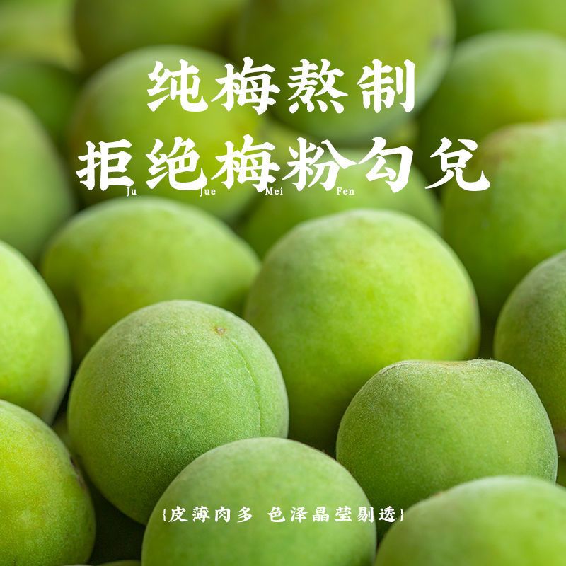 潮汕集锦酸梅酱广式特产烧鹅酱梅子酱烤鸭叉烧青梅酱调料200g