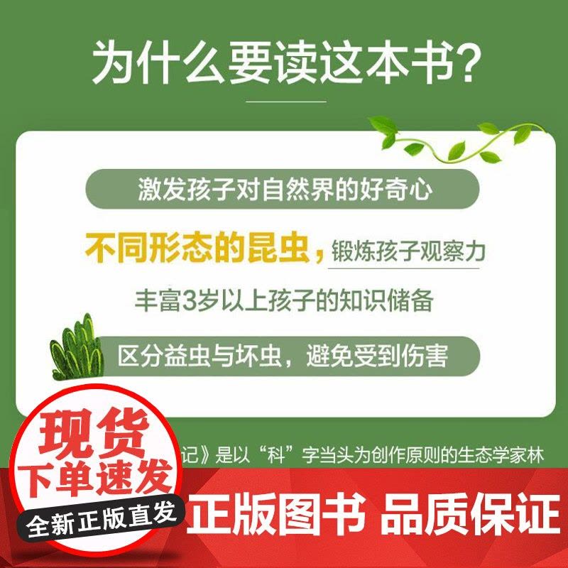 昆虫高手求生记 123!探秘神奇的昆虫世界 科普照片绘本书籍童书儿童超清印刷林育真图书正版图片