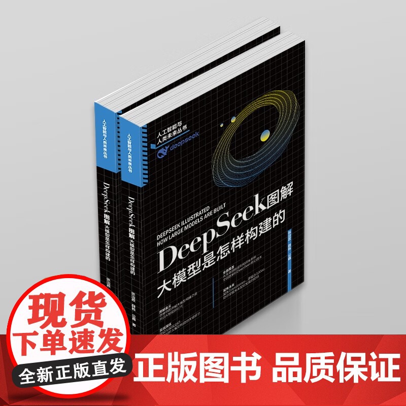 DeepSeek图解 大模型是怎样构建的 张治政等 著 计算机与互联网高清大图