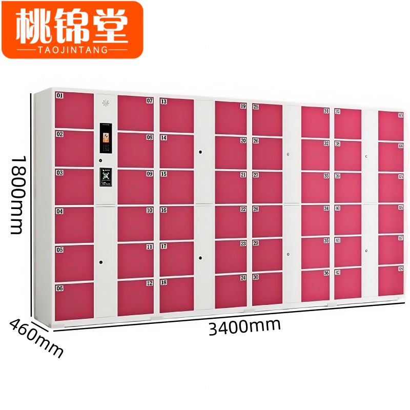 桃锦堂存包柜 寄存柜48门台