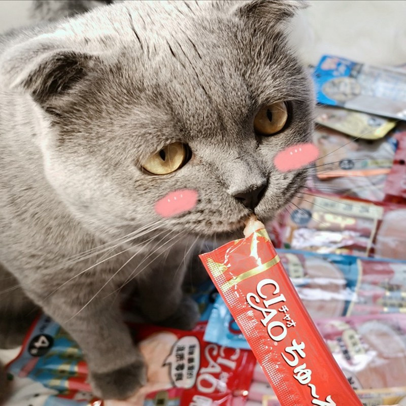 伊纳宝啾噜猫零食金枪鱼 14g×4条×6包