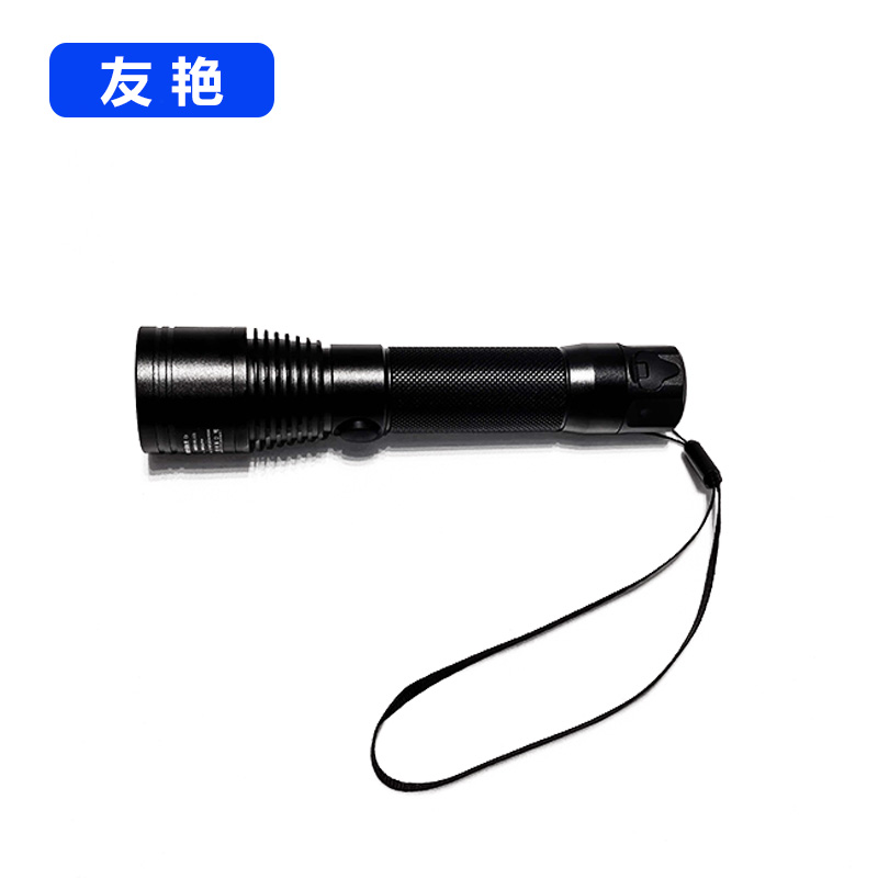 友艳LED灯YYDD-006/个高清大图