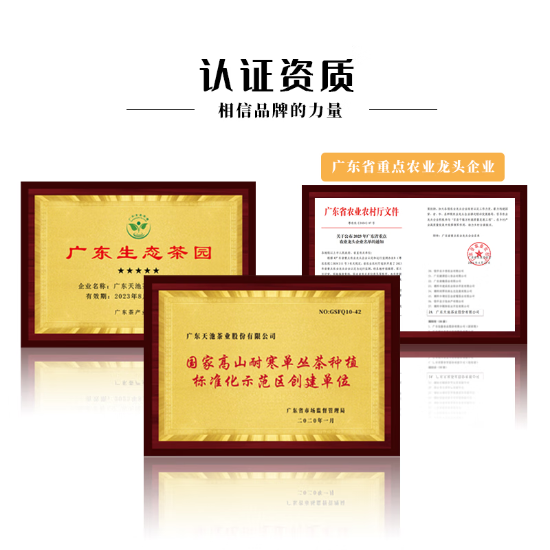 天池 茗茶 单丛 青山·富韵礼盒(蜜兰香&黄枝香)高清大图
