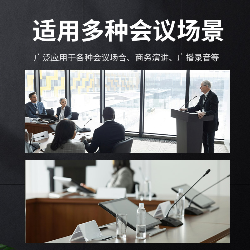润普Runpu 会议音频扩声手拉手系统RP-YS6665S 专业有线手拉手麦克风双杆会议话筒桌面鹅颈麦一拖三十高清大图