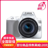 佳能(CANON)200d2代 200D II(18-55mm) 入门级单反相机200d2代vlog家用迷你照相机 白色