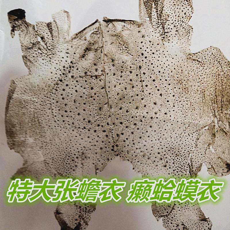 蟾衣大蟾蜍衣 蟾壳 癞蛤蟆衣自然脱落10张店另有蟾皮蟾蜍 如图