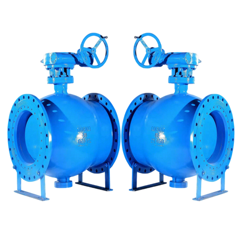 卡西斯顿 偏心半球阀 DN100 个高清大图