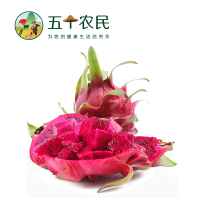 [五个农民]广西金都一号红心火龙果5斤单果300g