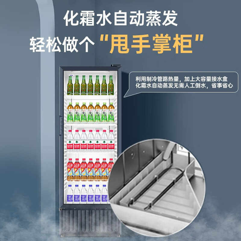 海尔(Haier)立式冰柜290升冷藏保鲜柜商用饮料柜家用大容量单门玻璃门水果酸奶饮料展示柜 SC-339J高清大图