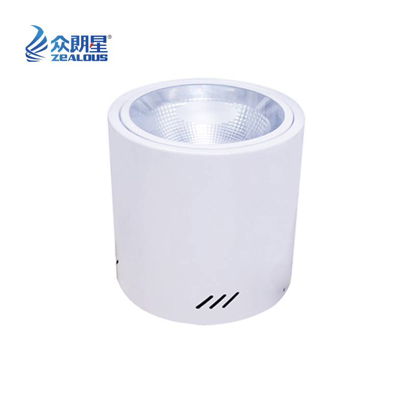 众朗星 ZL8855 LED站台灯 30W LED光源高清大图