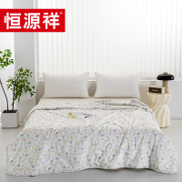 恒源祥春日花园靠枕夏被TSB2035 200cm*230cm 单位:条