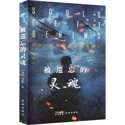 醉染图书被遗忘的灵魂9787536097698