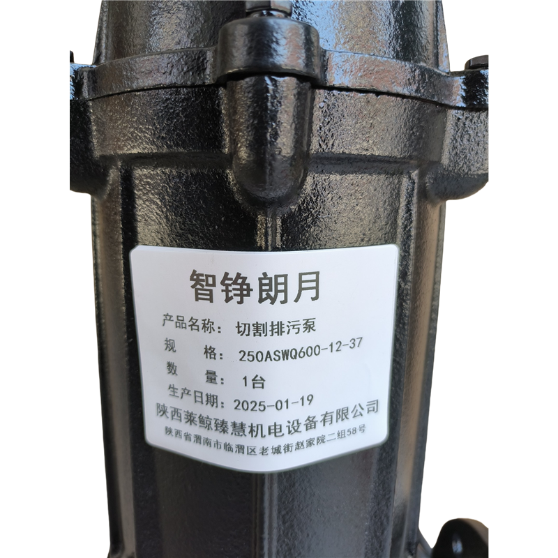 智铮朗月 切割排污泵 250ASWQ600-12-37 台高清大图