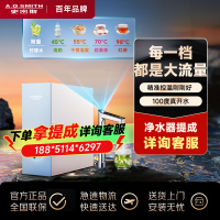 AO史密斯佳尼特加热净水器加热直饮一体机 家用厨下反渗透直饮水机净水机过滤器 CDR2000S1[蓝鲸上新]
