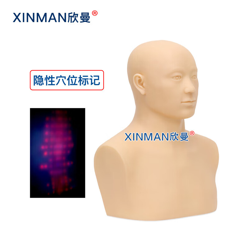 欣曼科教 针灸头部训练模型 头部针灸针刺扎针练习模型XM-ZC01高清大图