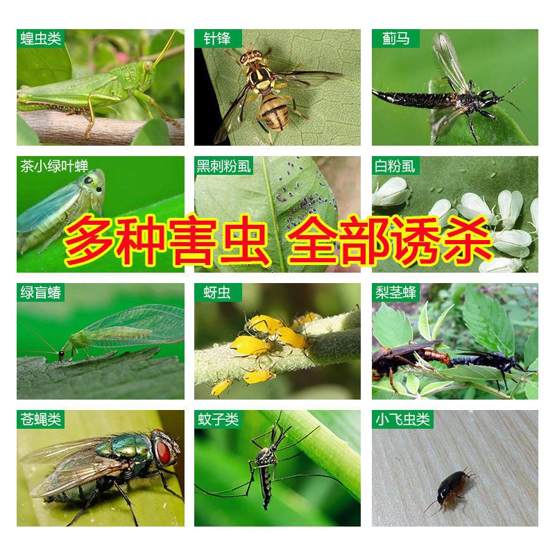 大棚果园花园专用黄板粘虫蓝板双面特粘粘虫板诱虫板灭小飞虫果蝇 10张 黄色通用送诱蝇药[家庭推荐]
