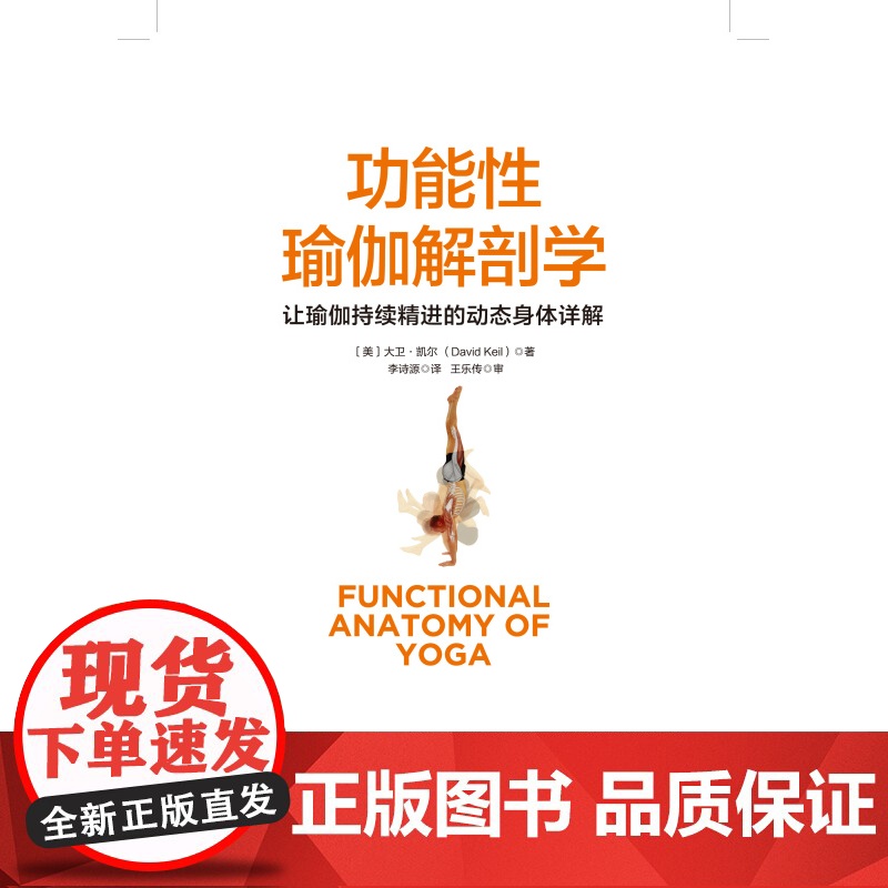 功能性瑜伽解剖学 瑜伽 解剖 体式 康复 运动 损伤 北京科学技术出版社高清大图