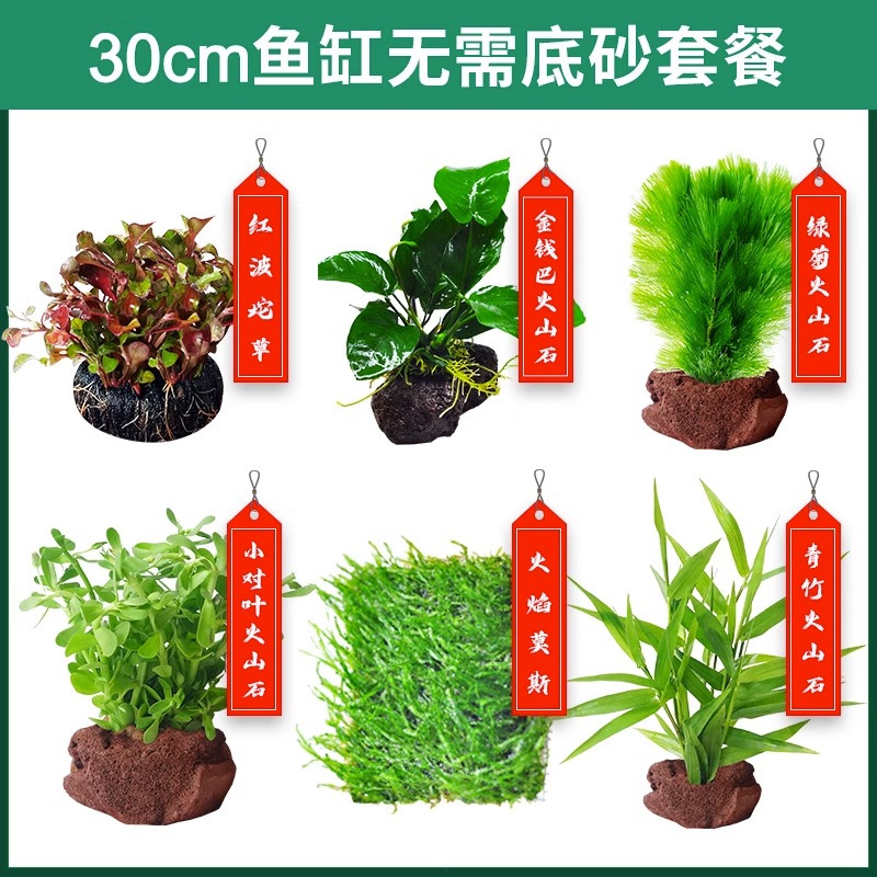 水草植物鱼缸造景莫斯阴性水榕沉木蜈蚣水培懒人增氧乌龟真草缸