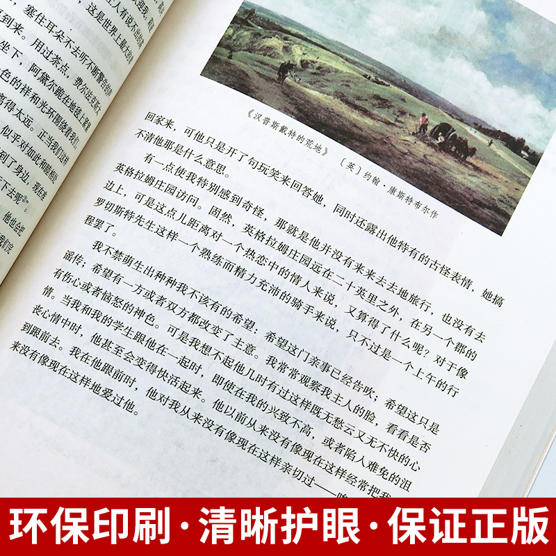 简爱-人民教育出版社 [正版]简爱书籍原着初中生版九9年级下册必读名著人民教育文学出版社完整版无删减中考语文配套阅读中学