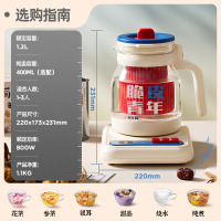 蓝宝(BLAUPUNKT)养生壶煮茶壶恒温水壶烧水壶 柔音保温一体迷你办公室 家用花茶壶炖煮壶小气泡防糊防溢HP02